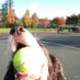Ballard Dog (@ballarddog) Twitter profile photo