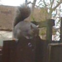 kerry caswell - @kezc1975 - Twitter