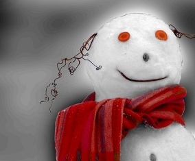 toookaaa's profile picture. 