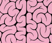 should_learn's profile picture. I post things that you should learn.
#teamfollowback