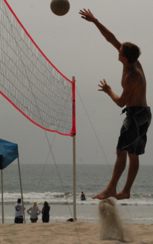 ColinTowne's profile picture. Trying to figure it all out, I like all the things!