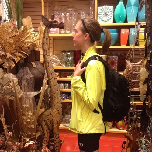 janelleja9's profile picture. Homo sapien