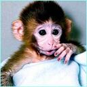 Emma Kane - @emzers99 - Twitter