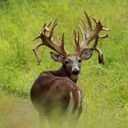 Dan Duane - @DanDuane - Twitter