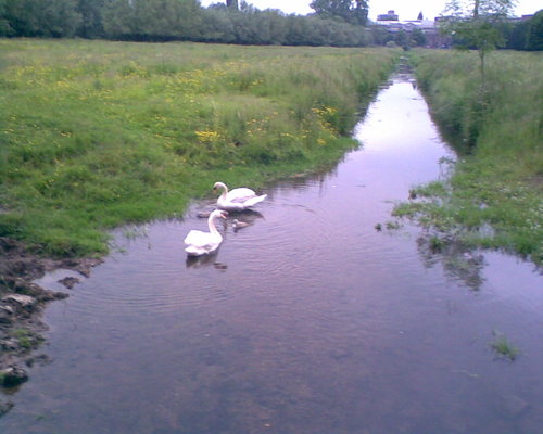 JKristiansson's profile picture. Space, science, sci-fi, health&health tech, self development,