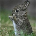 Andy Workman - @sokerboyrulz - Twitter