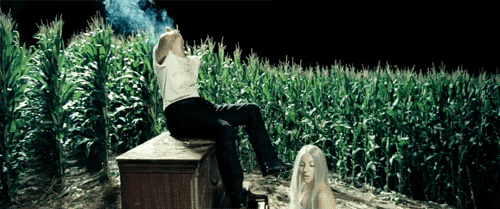 @ladygaga  Minha 336
Little Monster Bitch 4Ever