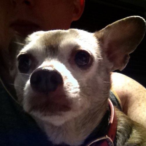 chris4nyc's profile picture. Talent Agent and proud Board member for NATR http://t.co/mlRomS3s5K