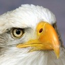 Gary Proffitt - @GwaiteEagles - Twitter