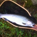 Chuck Palmer - @AOChuck - Twitter