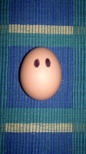 Brad87083933's profile picture. I am a good egg