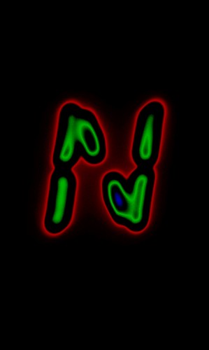 stangblues's profile picture. 