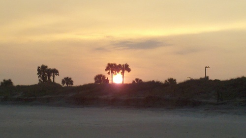 D_T_S_D's profile picture. Your one-stop website for all things Jersey Shore