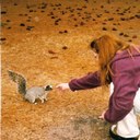 Felicity Lamb - @FlikrFly - Twitter