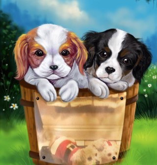 japeachess's profile picture. 