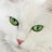 sihonglobal's profile image