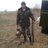 andreikagor's profile image