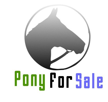 Pony For Sale is a portal for horses for sale and ponies for sale plus everything equestrian, including horse equipment and equestrian services.