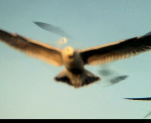 ksy8204's profile picture. 