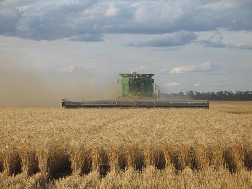 Fourth generation farmer in Qld Australia growing cotton, wheat, barley, sorghum, chick peas, mung beans. Husband & farther of 3 great kids. Zero till.