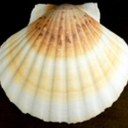 Peter Dam - @PeterenDit - Twitter