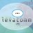 Levacomm's profile image