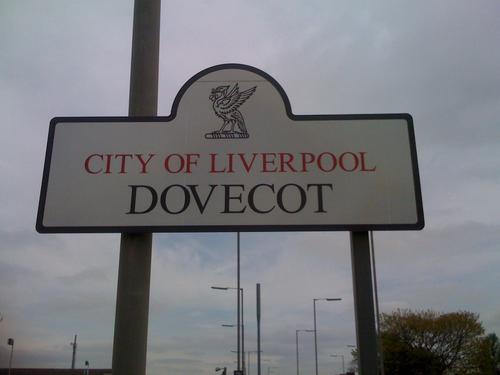 DovecotCrusader's profile picture. I often wondered why someone doesn't do something about that. Then I realised, I was someone