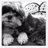 Madi_TheDog's profile image
