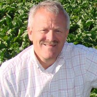 Mark ANFINRUD (@markanfinrud) 's Twitter Profile