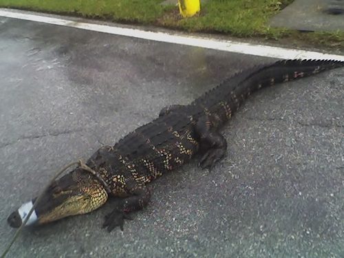 mrubiore's profile picture. El peor de los pecadores a quienes Dios ha amado.
The chief of sinners loved by God.