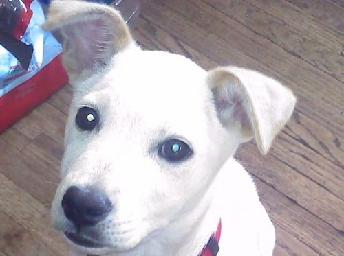 1gabby8a's profile picture. 