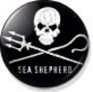 Sea Shepherd Dam Guardians. Sea Shepherd Conservation Society. Defend. Conserve. Protect.