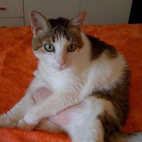 AntonioRinaldi_'s profile picture. 