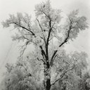 daniela anaya - @anayadanhii - Twitter