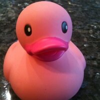 rubber duck(@markets32) 's Twitter Profile Photo