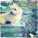 Avery Little - @aloena77 - Twitter