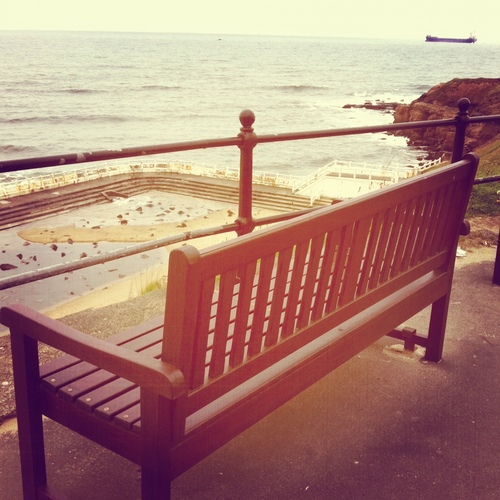 tynemouthbench's profile picture. I'm a park bench living on the coast of Tynemouth. I like meeting new people and dislike seagulls. I am currently writing a play about my life.