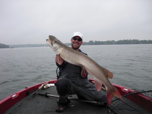 honestmusky's profile picture. I am a field editor with MUSKIE Magazine, and have put hundreds of muskies in the bottom of the net.