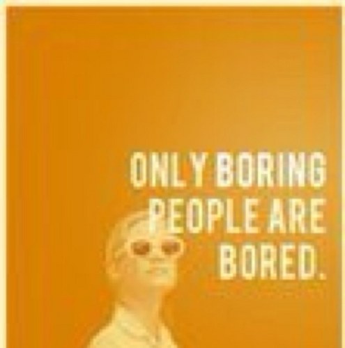 Catsbesttwits's profile picture. 