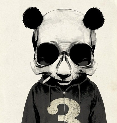 trubizavoda's profile picture. killall