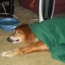 john stclair - @stclairje - Twitter