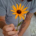 David Simerly - @DavidSimerly - Twitter