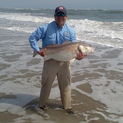 collinsmcneill's profile picture. Dye-Hard Auburn fan, working for peanuts. The only place success comes before work is in the dictionary. Vince Lombardi