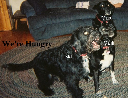 markcarl's profile picture. Conservative Republican with a libertarian streak. Social conservative who goes to church at Emmanuel Lutheran (WELS). I am also a St. Croix (WI) Supervisor