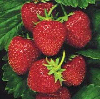 HiltonSFFnB's profile picture. Hilton San Francisco Union Square Food & Beverage department. Please share your thoughts, comments and any feedback with us!!