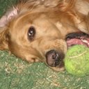 Harley Sutton - @HarleySuttonAce - Twitter