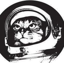 i'm just this spacecat.