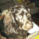 colby whitehead - @Colby_Whitehead - Twitter