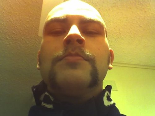 Ten feet tall, bulletproof, enjoys garbanzo beans.