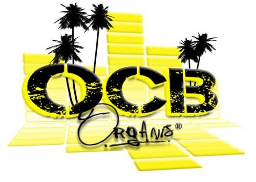 Ocb organiz officiel #VDGMixtape enfin dispo https://t.co/DmyRoHucjH